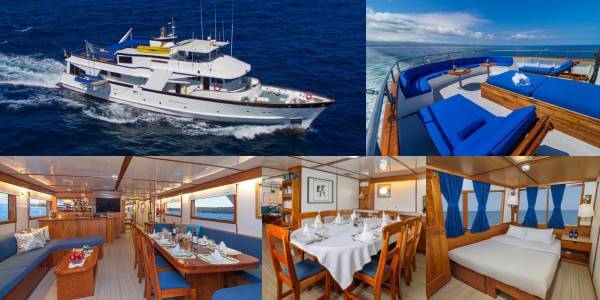 Beluga yacht wildlife adventure cruises in Galapagos